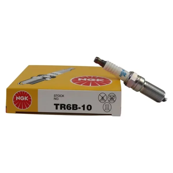 Jogo Vela Ngk TR6B10