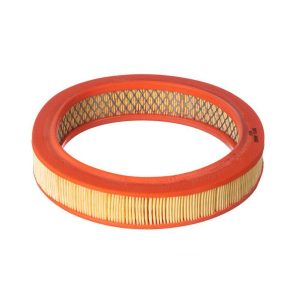 Filtro Ar Motor(Leve) Wega WR209